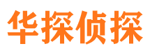 东西湖市调查公司